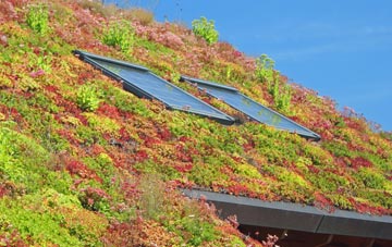 Trenoweth living roof systems