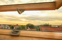 rated Trenoweth roof window companies